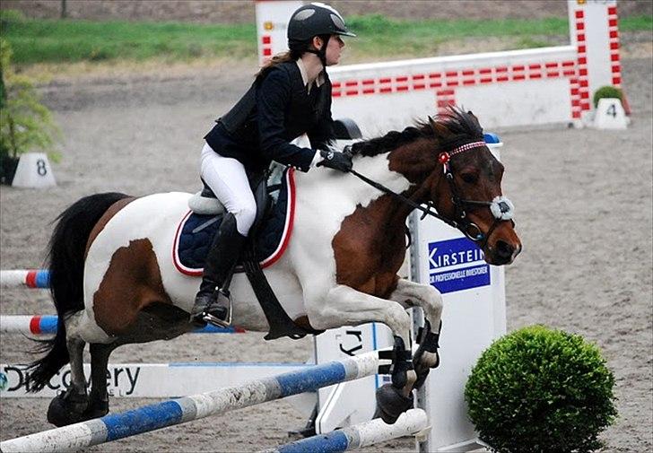 Pinto Munkeborgs Cloudy B-pony - LA billede 11