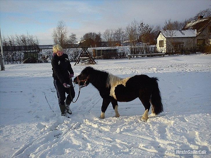 Anden særlig race Zarra`s Tordenbrag  billede 11
