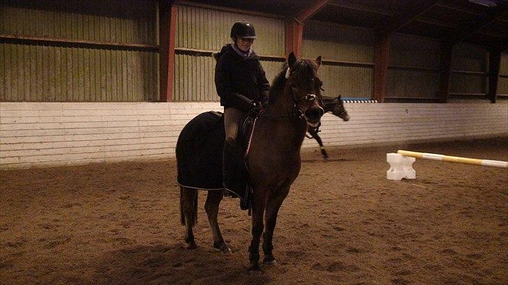 Anden særlig race Prins Kashmir • passer:-* - Kashmir :-)) billede 7