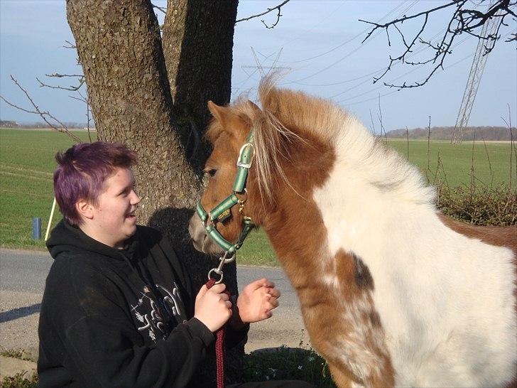 Shetlænder Thorsvang´s Tut - mig og tut ved det store træ

Foto. Maia billede 16