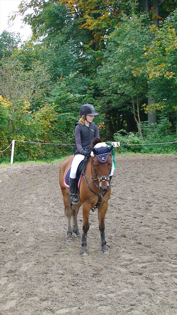 Anden særlig race Prins Kashmir • passer:-* - Freja og Kashmir med en flot og fortjent 3 plads! billede 8