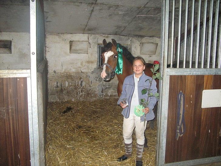 Welsh Pony (sec B) Rakt`s Britney solgt - Fik en 4 plads til klubmesterskabet i LB spring i OHR billede 2