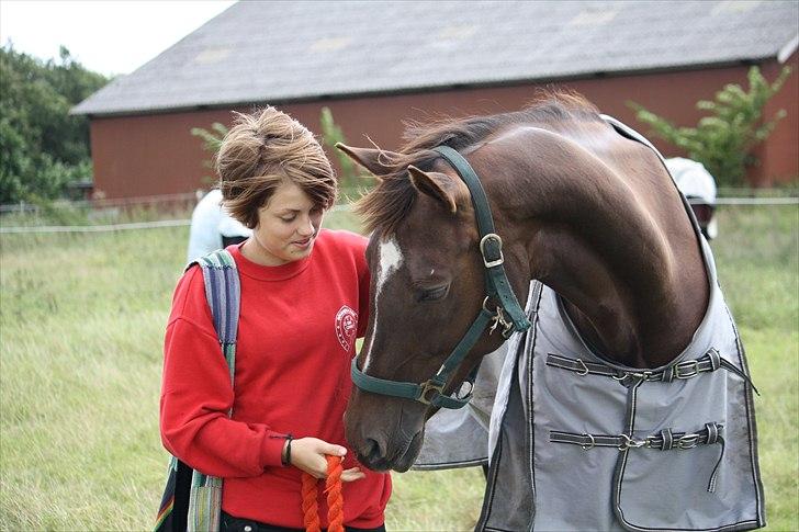 Oldenborg Egelund Nova - Fotograf: Hanne Pedersen (: billede 4