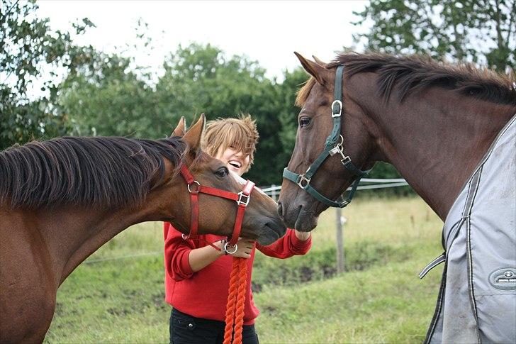 Oldenborg Egelund Nova - Nova og Alanya (:
Fotograf: Hanne Pedersen :D billede 5