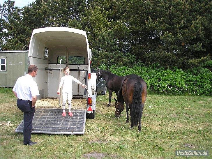 New Forest Havens Fianca R.I.P :`( billede 6