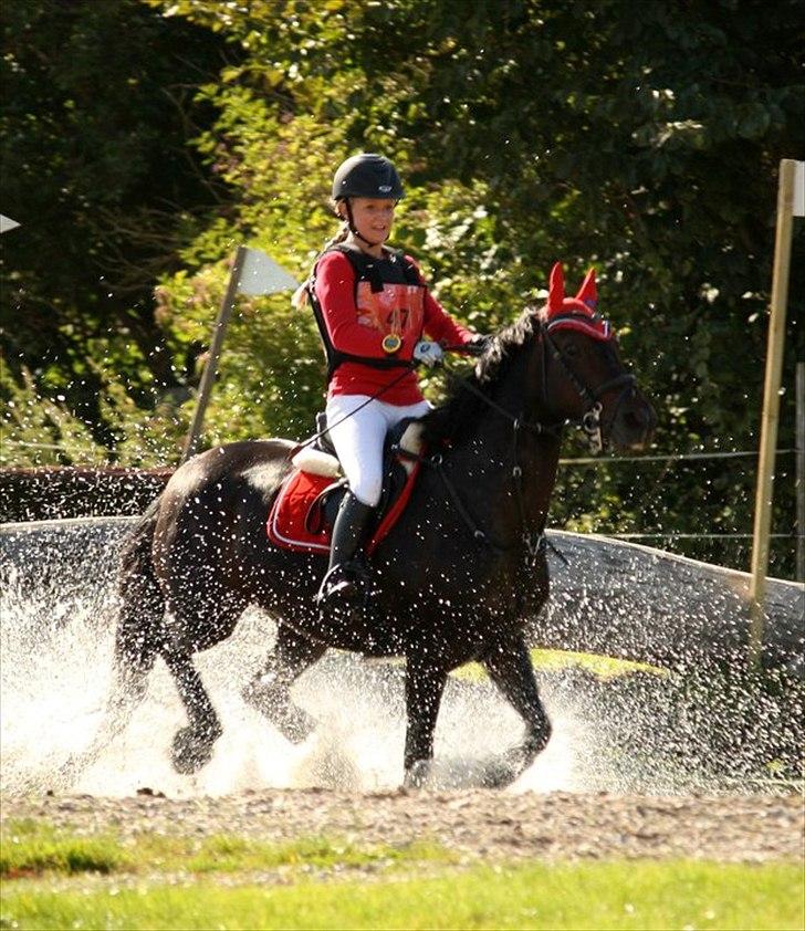 Anden særlig race Jessie - vi er bedst når vi er 2 <3 billede 2