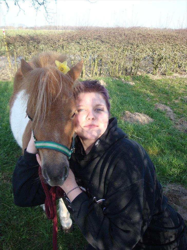 Shetlænder Thorsvang´s Tut - mig og tut igen igen igen

Foto. Maia billede 18