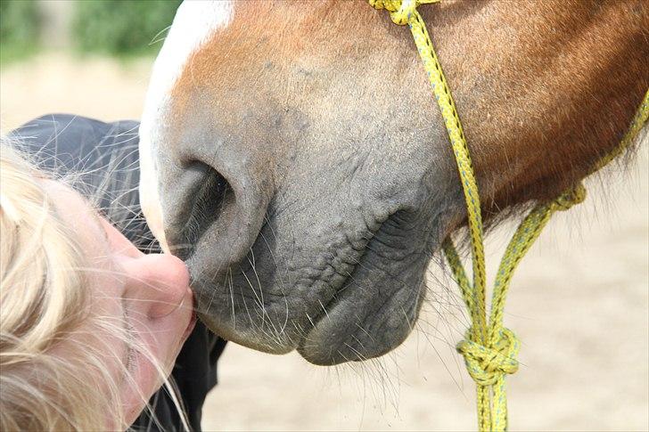 Anden særlig race Sheran - Jeg syntes du er skøn! *; Dy betyder alligevel en del! Foto: Lærke billede 2