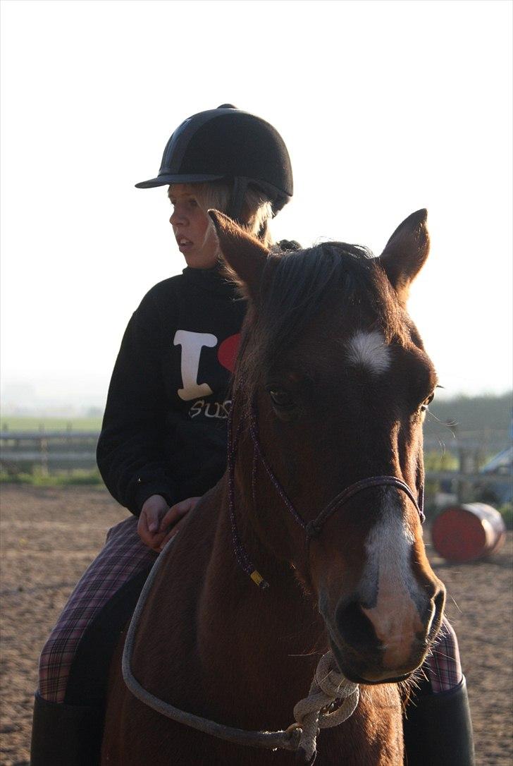 Anden særlig race Sheran - Vi holder tager det lige med ro! (: Foto: Signe billede 4