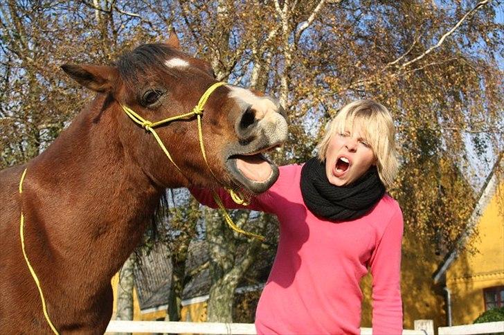Anden særlig race Sheran - Gabe på kommando, du er virkelig skøn! Foto: Cille billede 6