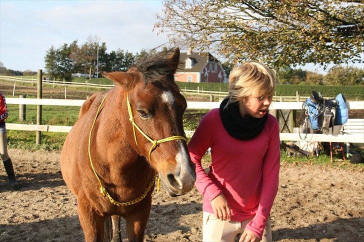 Anden særlig race Sheran - Ryste<3 Foto: Cille billede 7