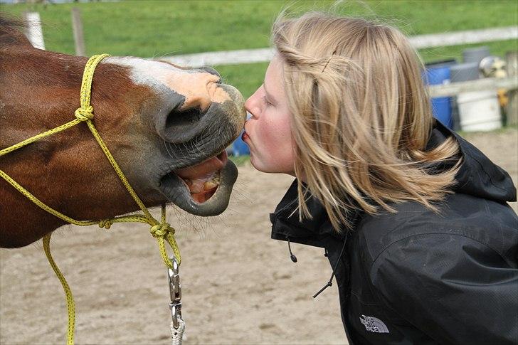 Anden særlig race Sheran - Ja.. Hvad skal man sige? :D Foto: Lærke billede 9