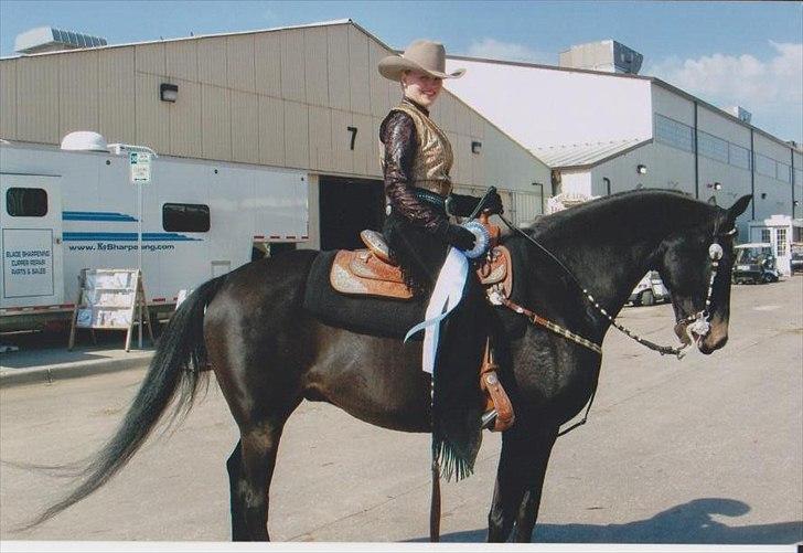 Morgan DVF High Chapparell - us after wp placed 9 in the class billede 7