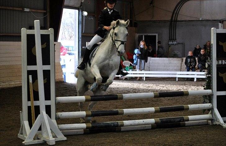 Anden særlig race Chagall - Med hans nye ejer mathilde :D <3 billede 20