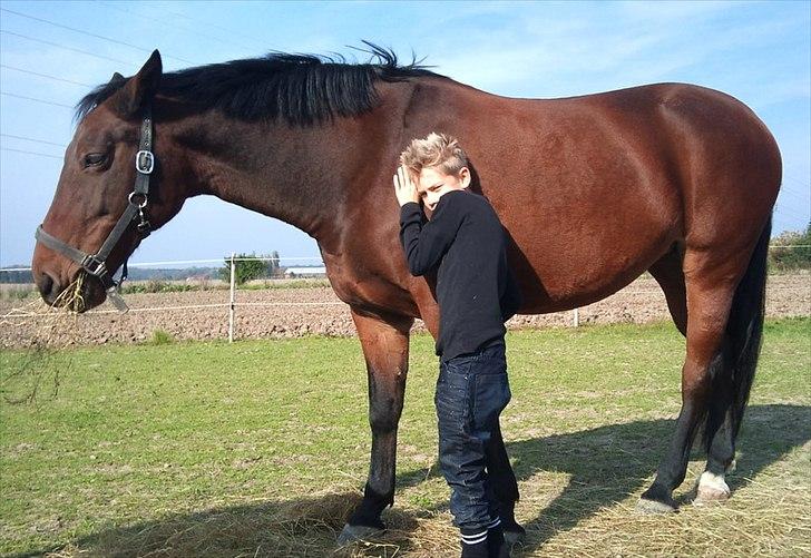 Anden særlig race Gaby (tilbage tidl ejer) billede 3