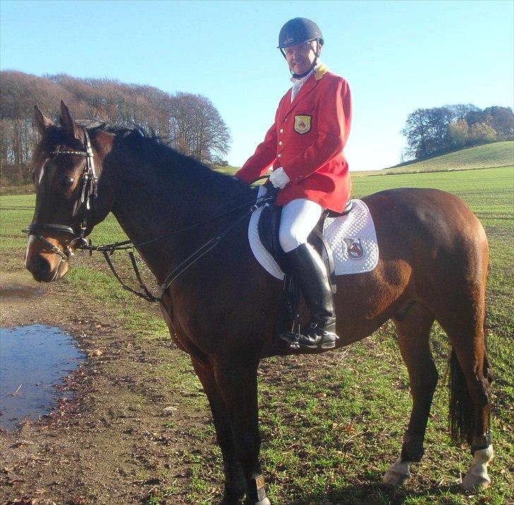 Dansk Varmblod Nørringholms LakostaSOLGT - Lakosta med hans nye ejer :) billede 19