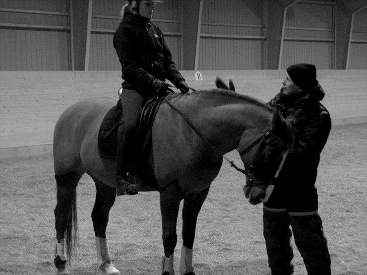 DSP Oscar - Dressur undervisning, 30 november billede 14