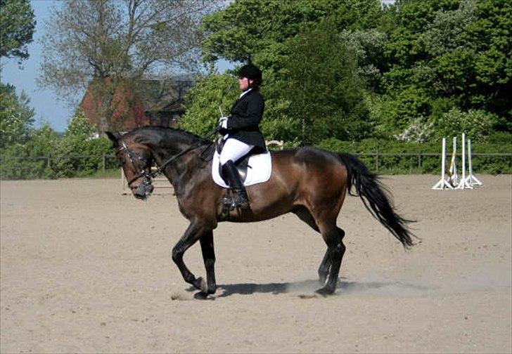 Oldenborg schousboes rasmus  billede 18