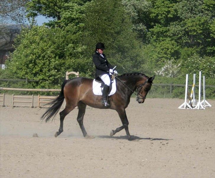 Oldenborg schousboes rasmus  billede 19