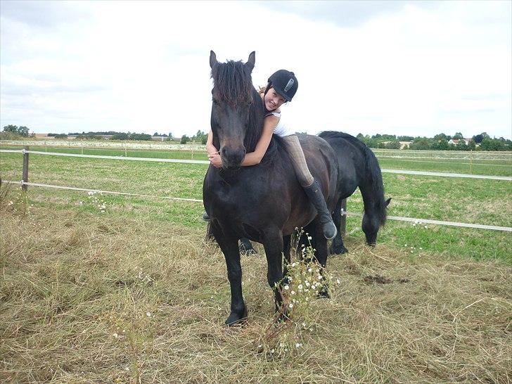 Frieser Lady( Rider nogengange)  billede 6