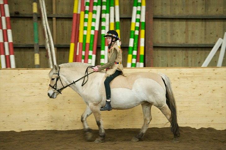 Fjordhest Sanne Nødager -Gl. Part- - Til fastalavn for 3 år siden... Undskyld jeg har lidt hårdt fat i den. Hun var ikke så glad for lydanlægget... billede 12