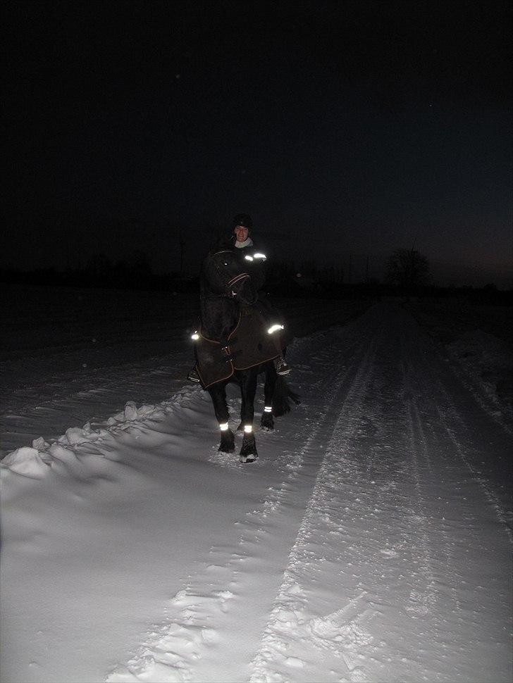 Frieser Tessa - Tessa & jeg på snetur :) billede 4