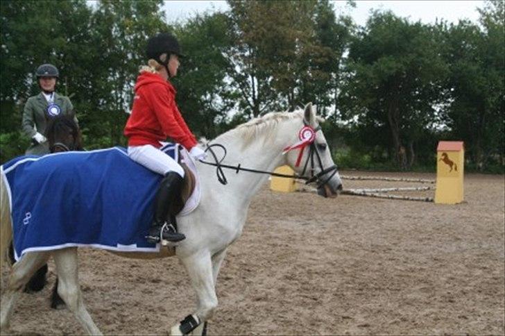 Connemara nokke min solmate - æresrunde billede 8