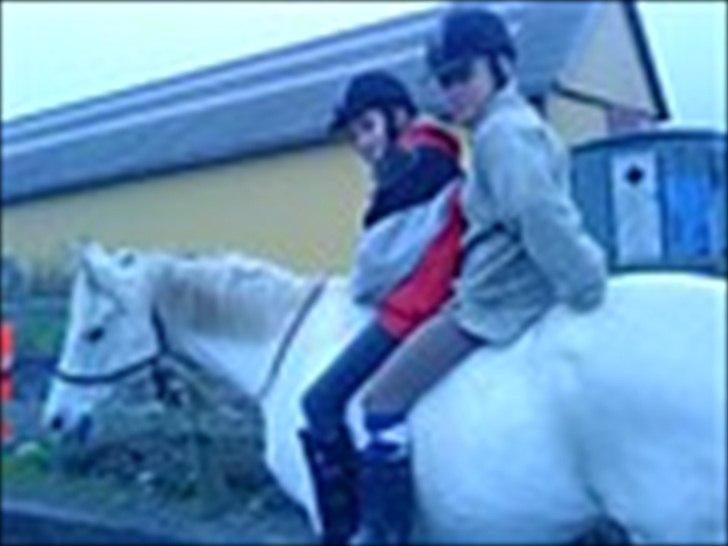 Connemara nokke min solmate - mig og lærke på ham i træktovs grimme <3 billede 9