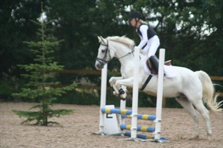 Connemara nokke min solmate - 3 sparng billede 10