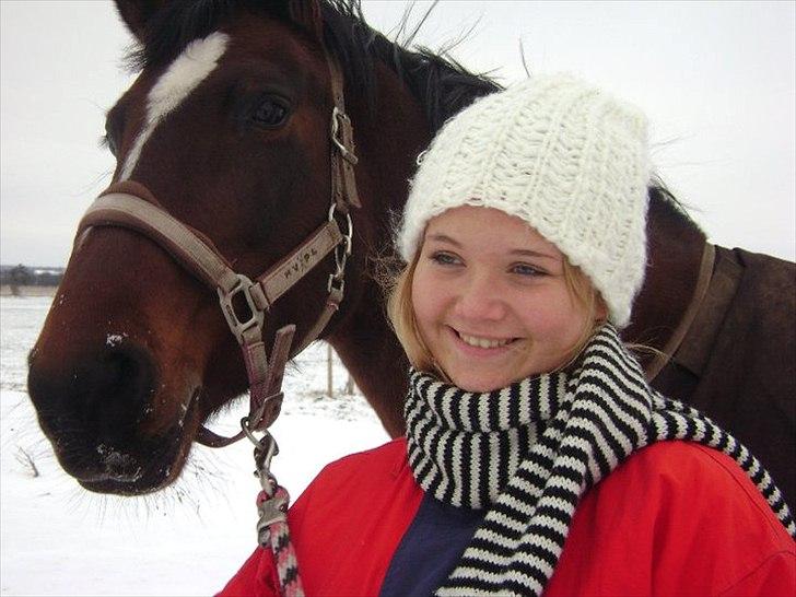 Dansk Varmblod >>Ziarra<< MyLife billede 13