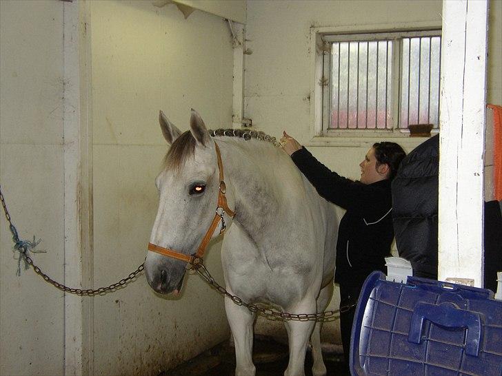 Anden særlig race Indy - Før vores første stævne :) billede 7