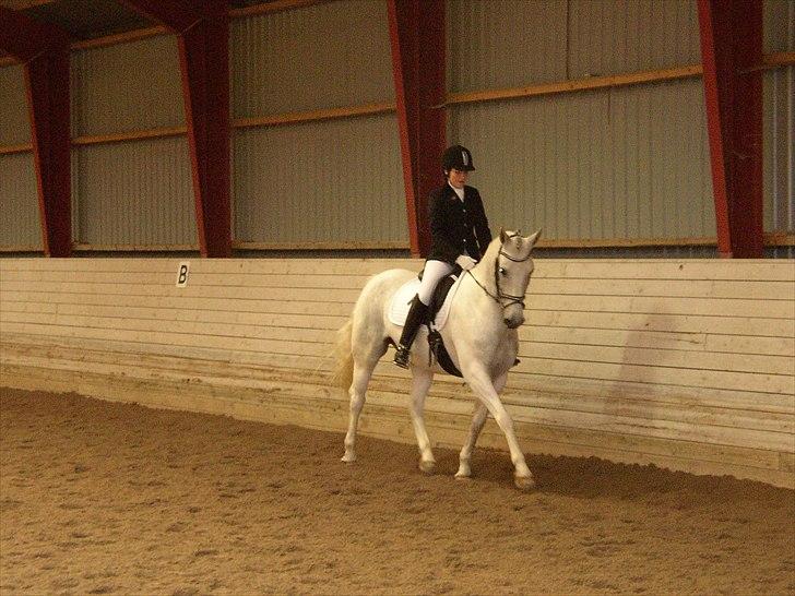 Anden særlig race Indy - Opvarmning til lc2. Første stævne :) billede 8