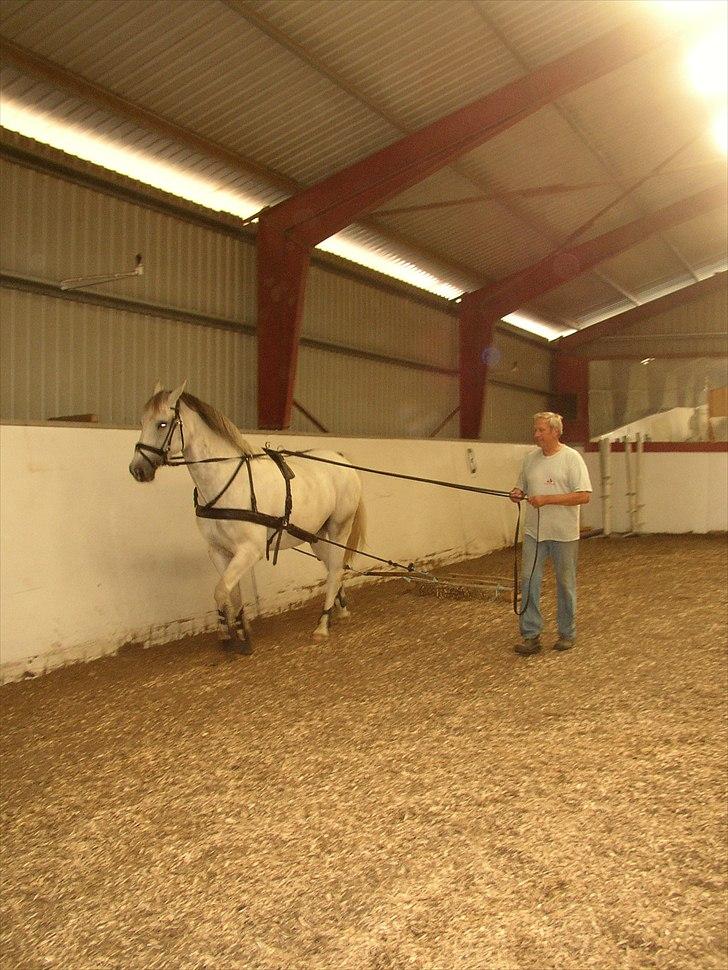 Anden særlig race Indy - Indy og Fini :) billede 11