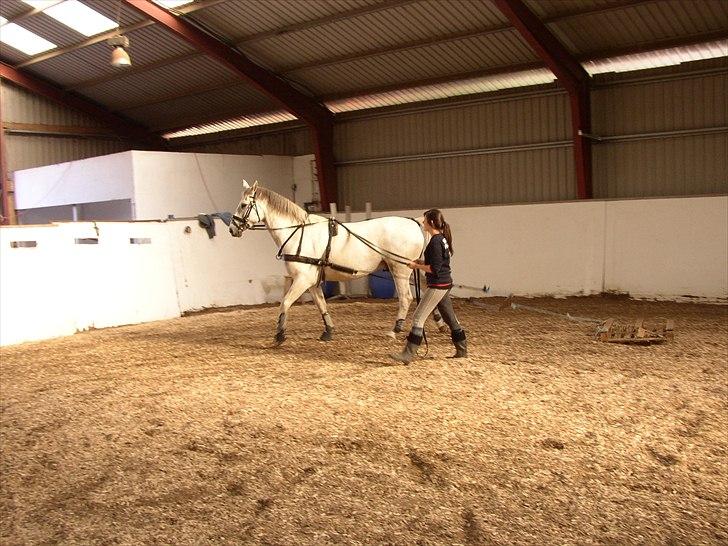 Anden særlig race Indy - Indy og jeg :) billede 13