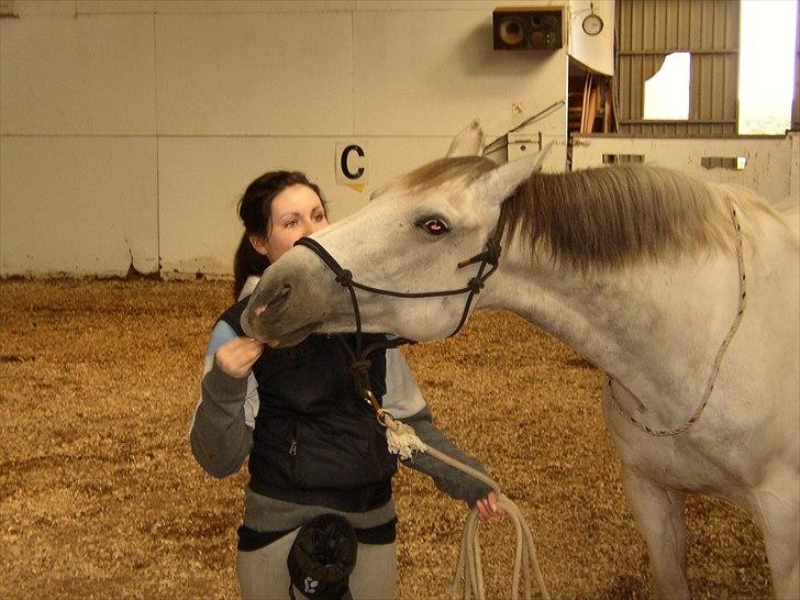 Anden særlig race Indy billede 15