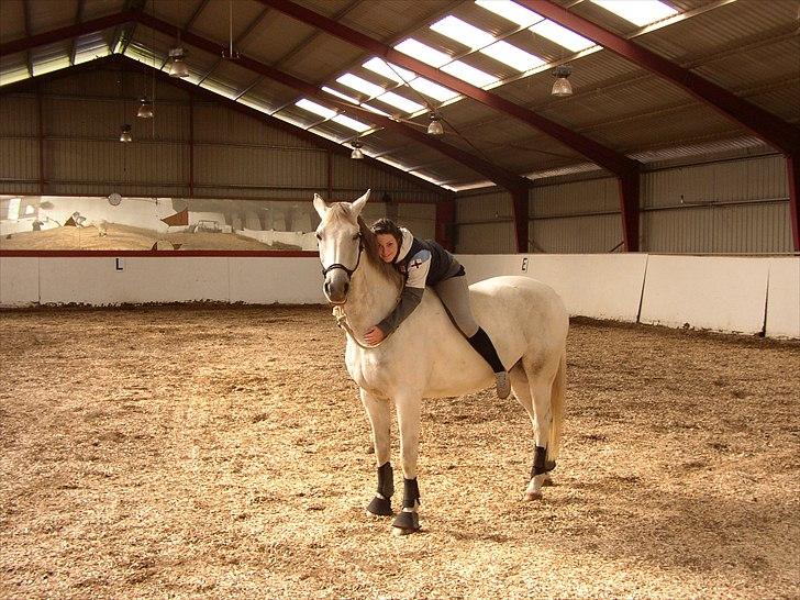 Anden særlig race Indy billede 18