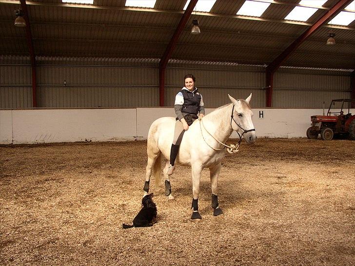 Anden særlig race Indy - Indy og Chicho min lille hund :) billede 19