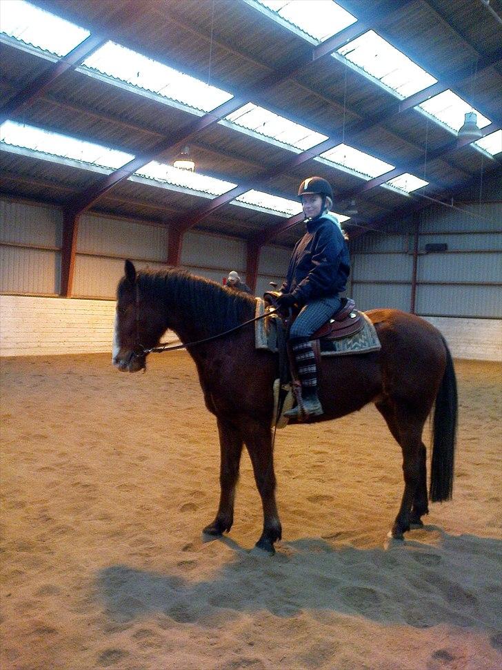 Anden særlig race Hector R.I.P - første gang jeg prøvede ham:) billede 7