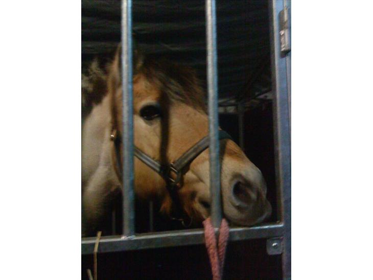 {{currentPhoto.altText}} billede {{currentPhoto.number}}