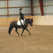 Anden særlig race jamie