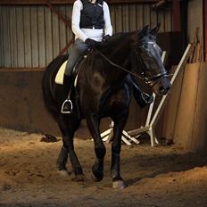 Anden særlig race Donhill  ( x-Part :'( )