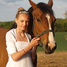 Westfaler Lady Litla W - Min pony -