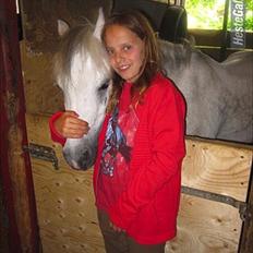 Welsh Mountain (sec A) Elvis Pony 