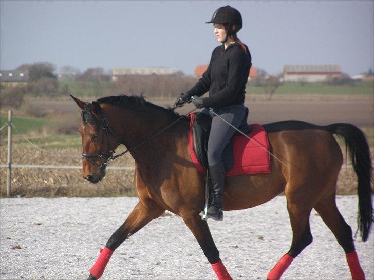 Anden særlig race Ronja  billede 4