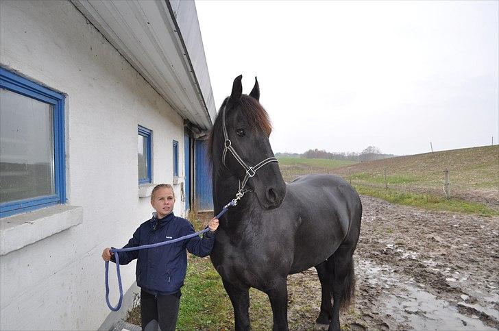 Frieser Jenka billede 13