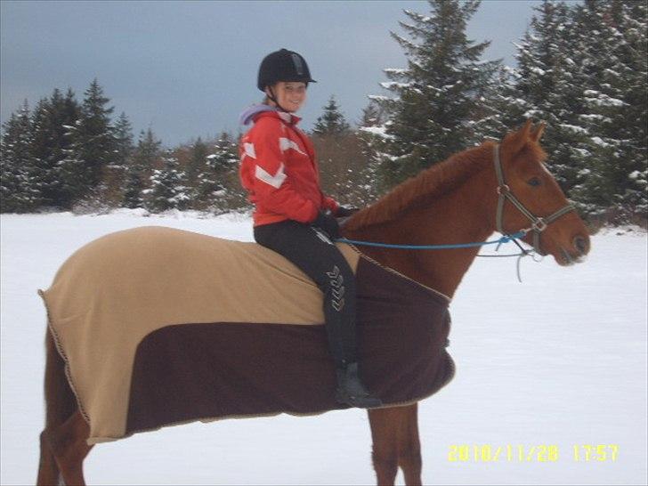 Anden særlig race petit billede 8