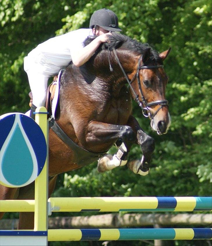 Holstener Connery - Connery og Frederik, Aabenraa 2010 billede 3