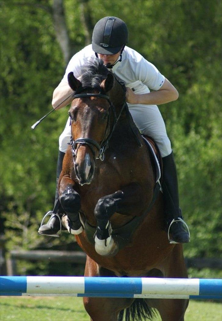 Holstener Connery - Connery og Frederik, Aabenraa 2010 billede 10