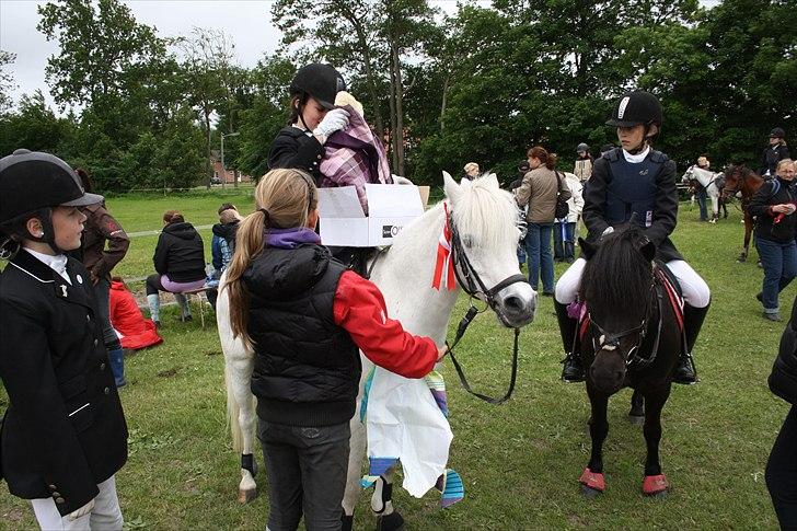 Welsh Pony (sec B) Honeycomb   - efter en god runde på banen :-) billede 19