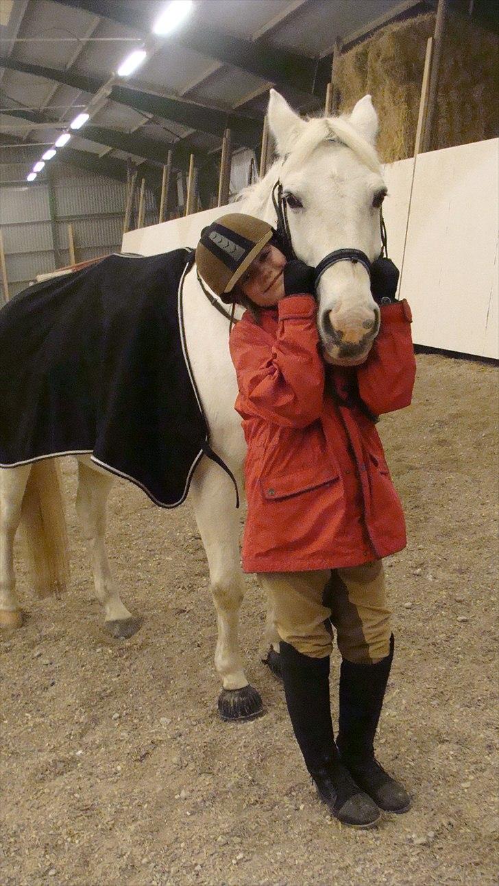 Anden særlig race  Dusty  R.I.P.:'( billede 9